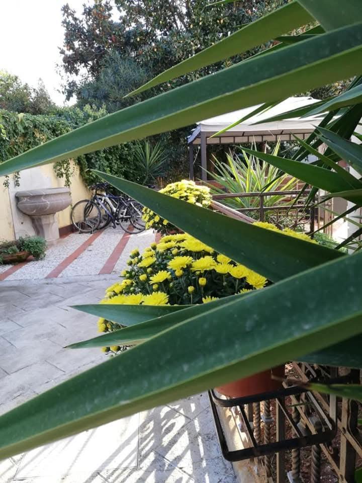 Villa Antonella Rooms Mondello Palermo Exterior foto